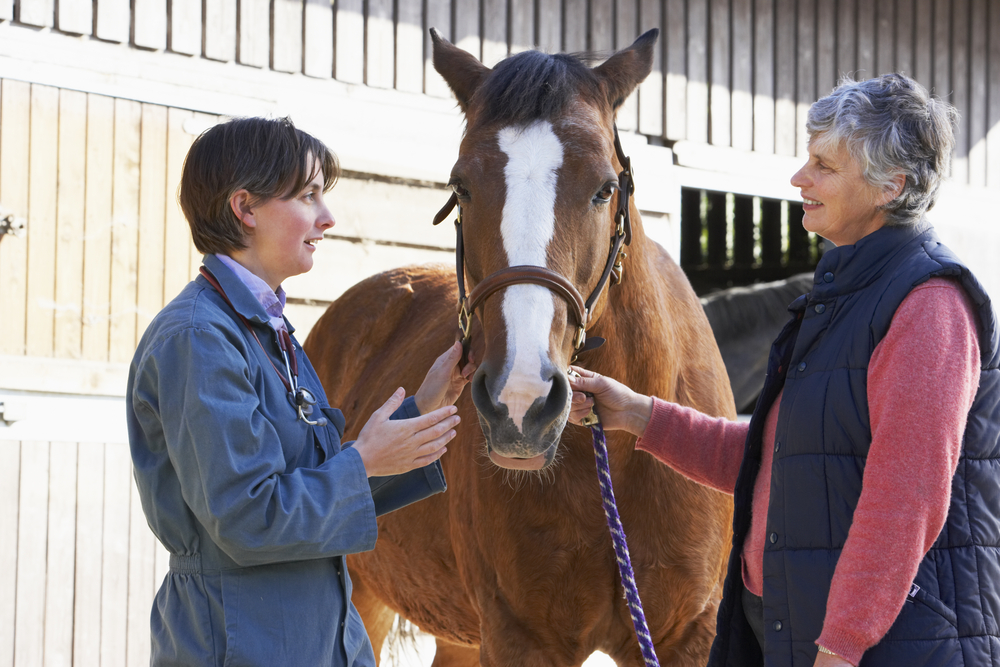 Vet,In,Discussion,With,Horse,Owner
